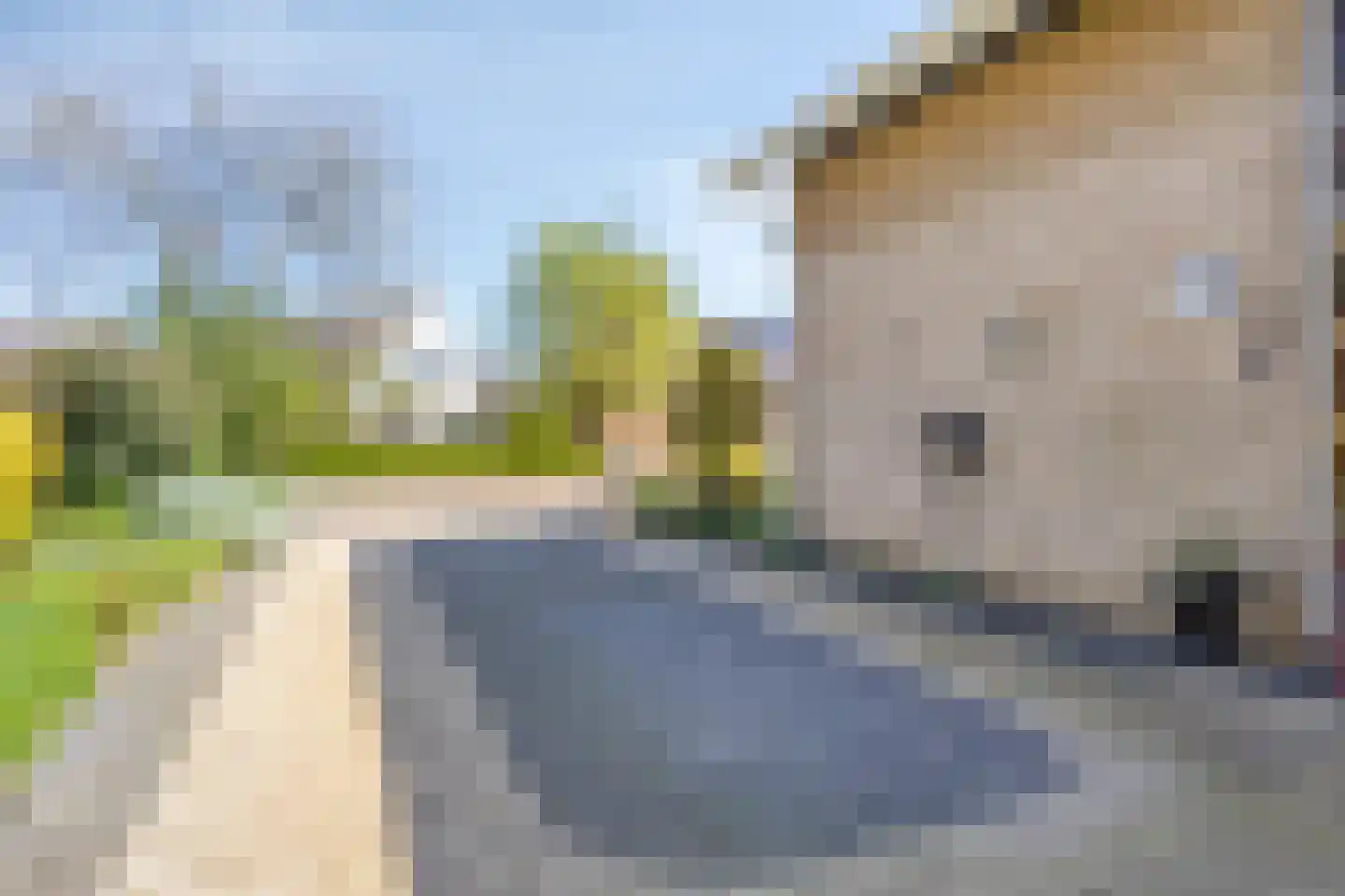 Strandloperstraat 2 Heinkenszand thumbnail 58