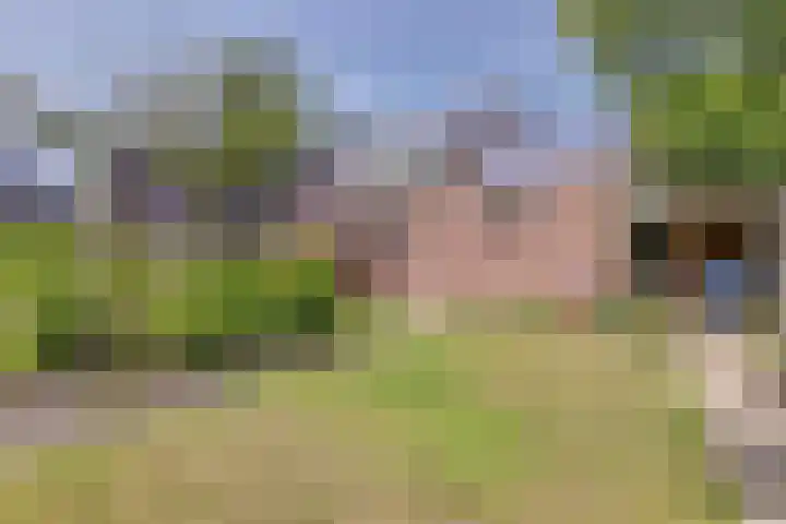 Strandloperstraat 36 Heinkenszand thumbnail 33