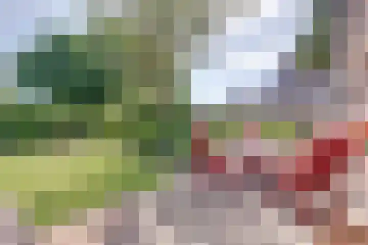 Strandloperstraat 36 Heinkenszand thumbnail 34