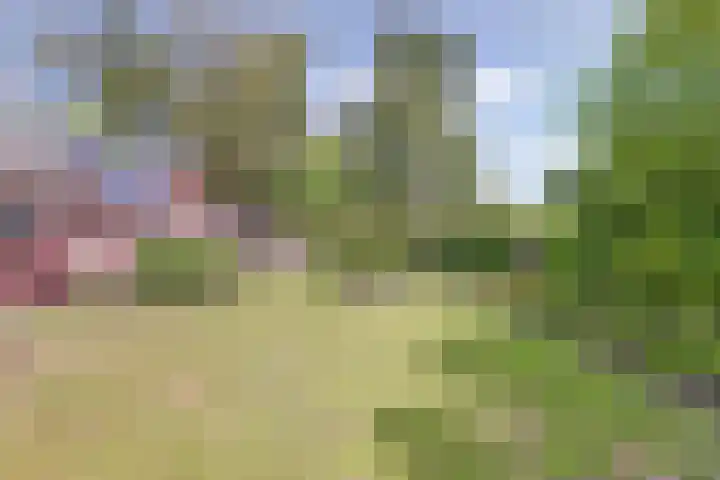 Strandloperstraat 36 Heinkenszand thumbnail 36