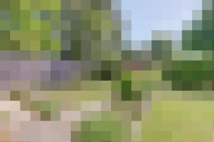 Strandloperstraat 36 Heinkenszand thumbnail 37