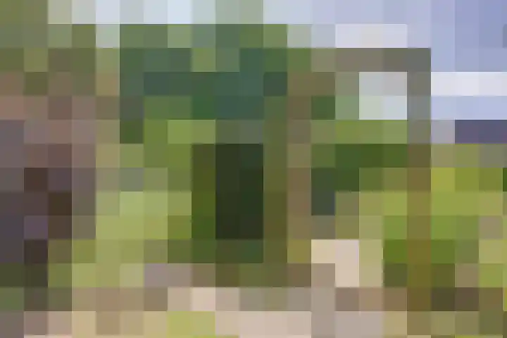 Strandloperstraat 36 Heinkenszand thumbnail 38