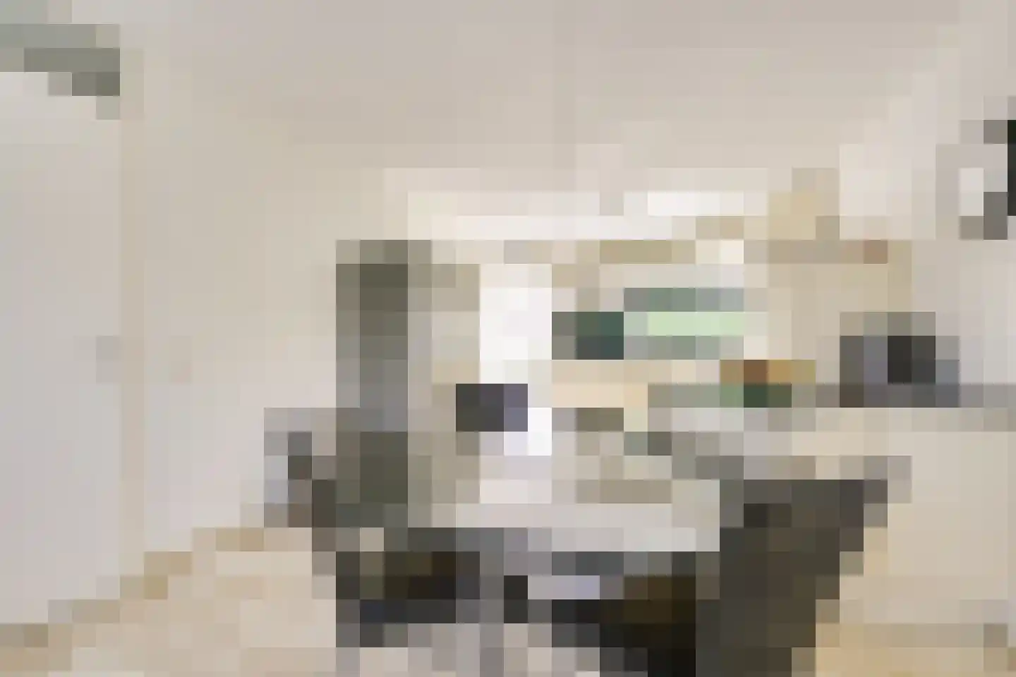 Strandmeer 2 Houten thumbnail 10