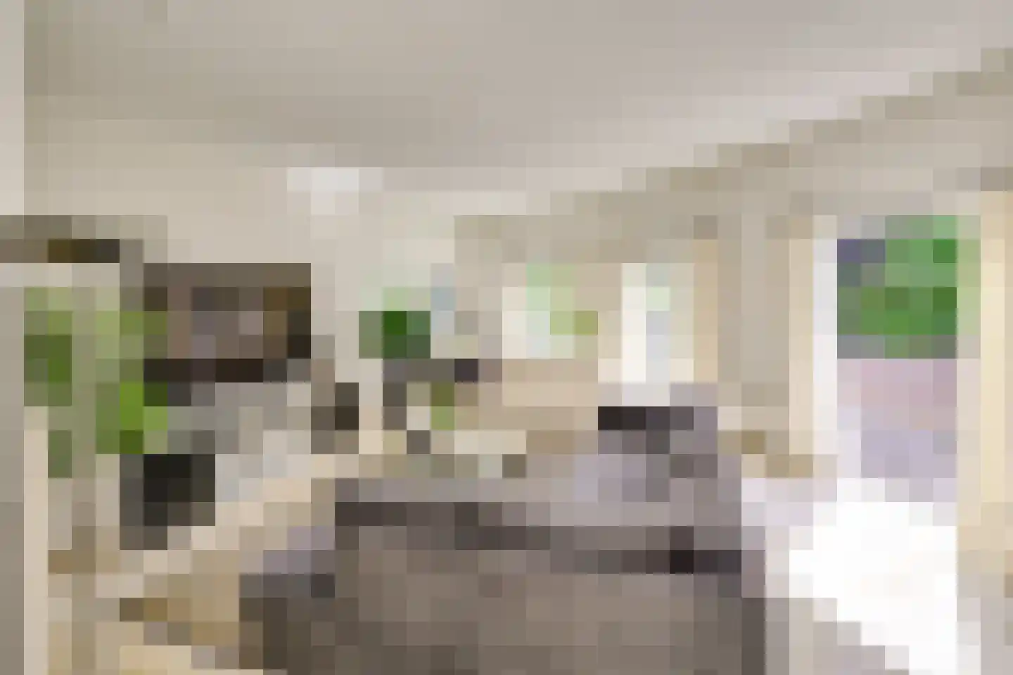 Strandmeer 2 Houten thumbnail 16