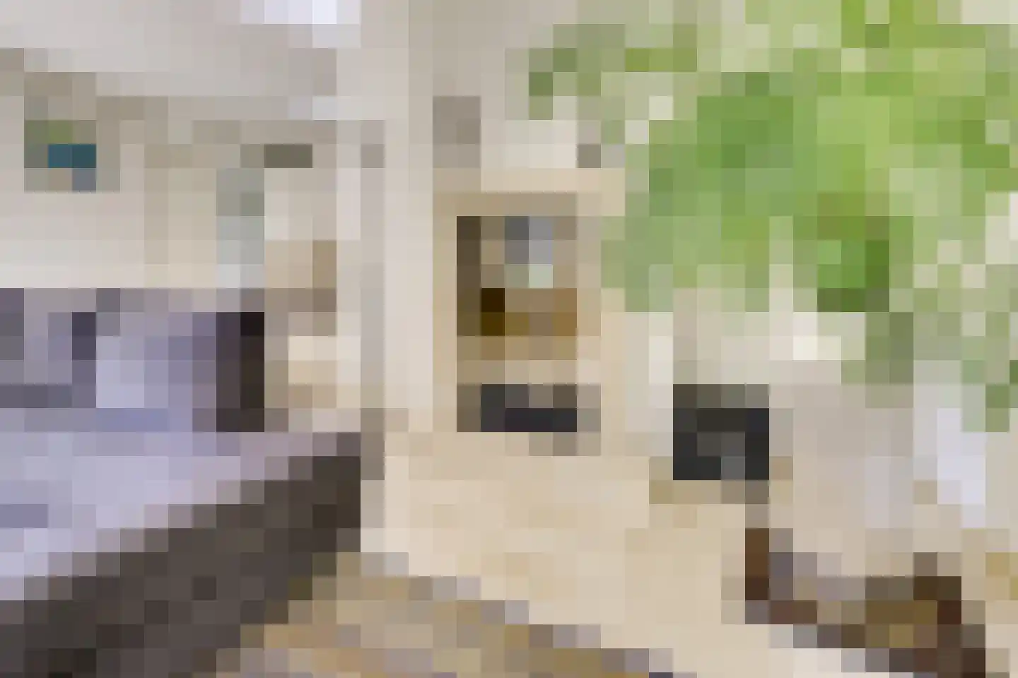 Strandmeer 2 Houten thumbnail 17