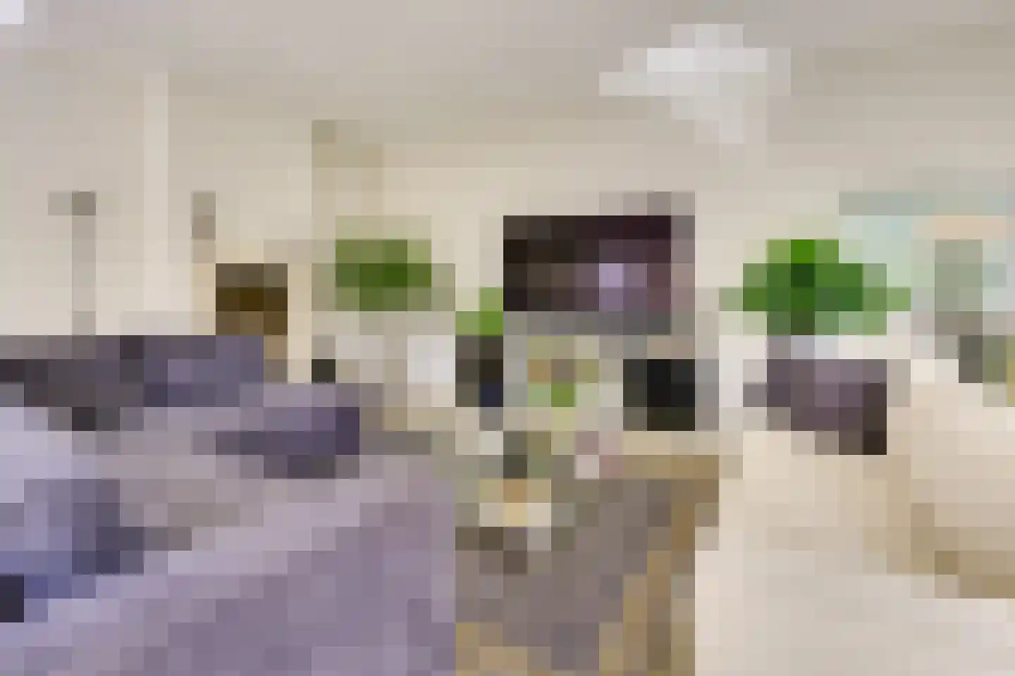 Strandmeer 2 Houten thumbnail 19