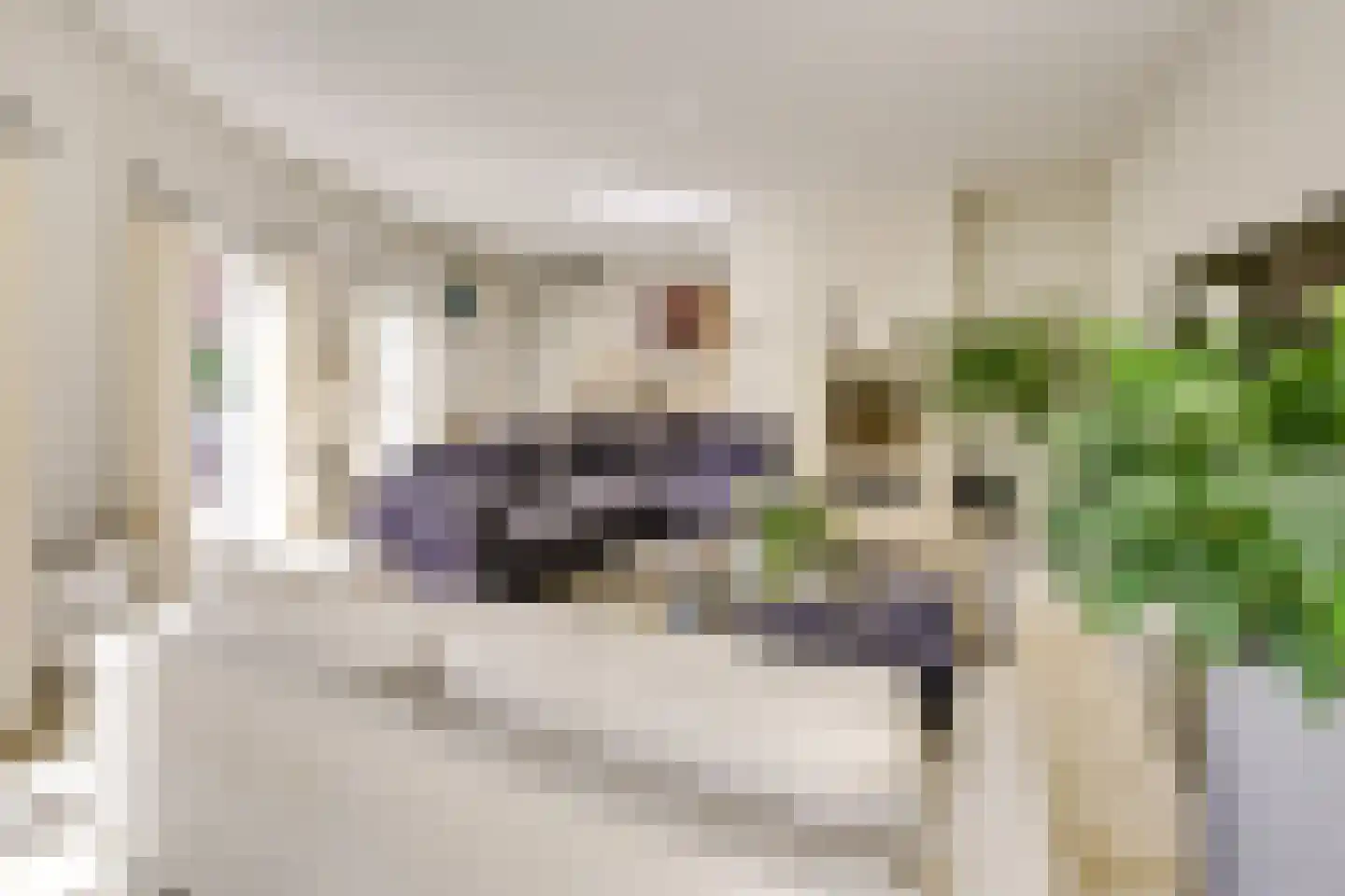 Strandmeer 2 Houten thumbnail 20