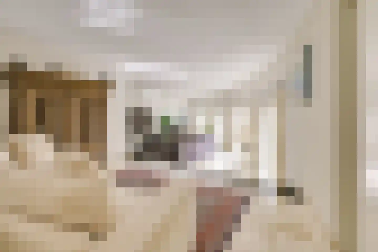 Strandmeer 2 Houten thumbnail 21