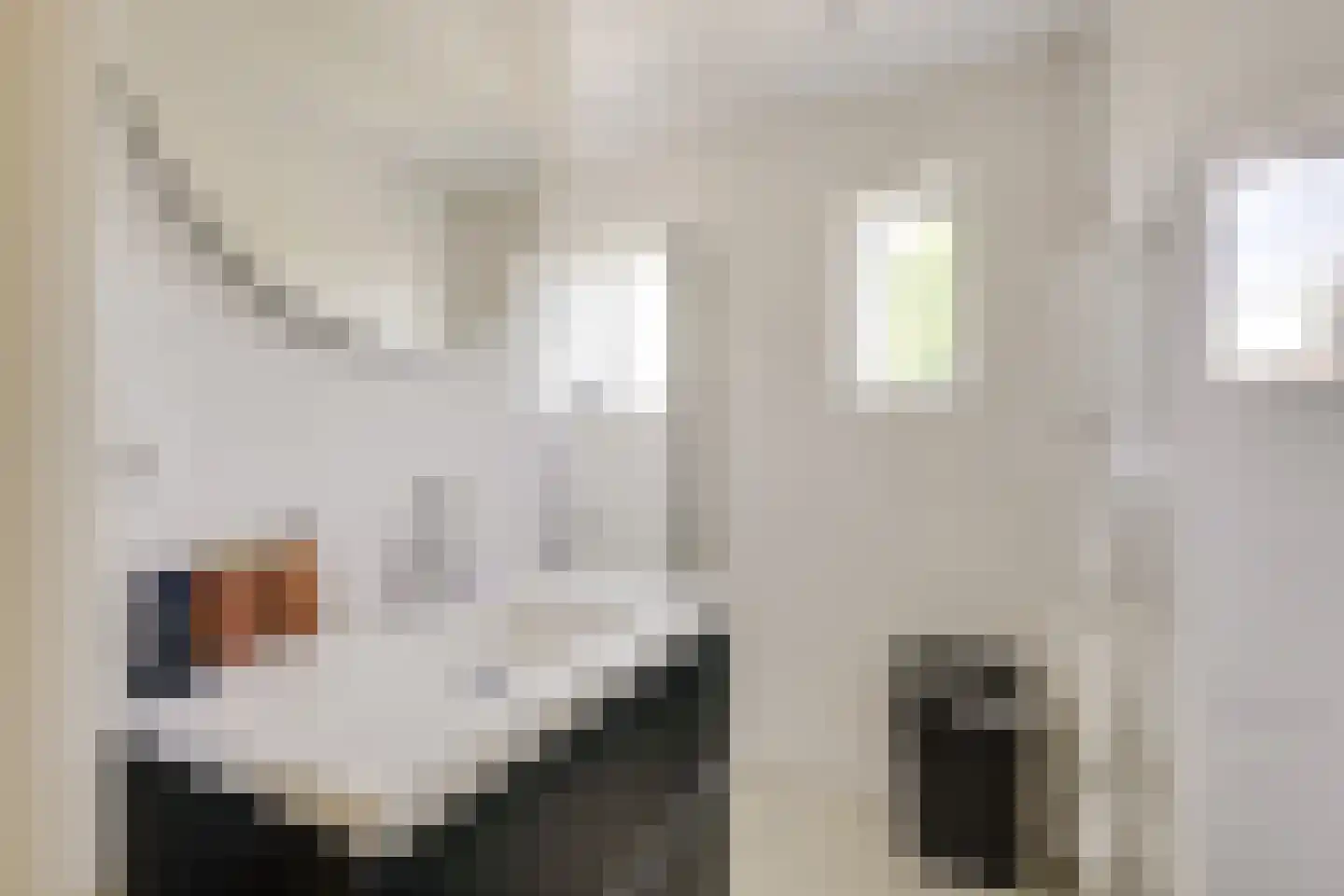 Strandmeer 2 Houten thumbnail 43