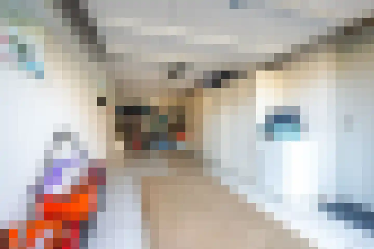 Strandmeer 2 Houten thumbnail 45
