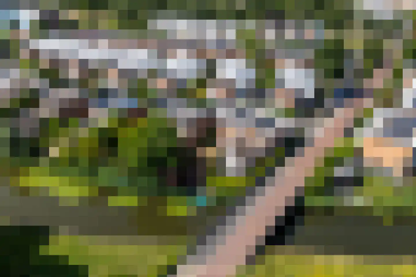 Strandmeer 2 Houten thumbnail 56