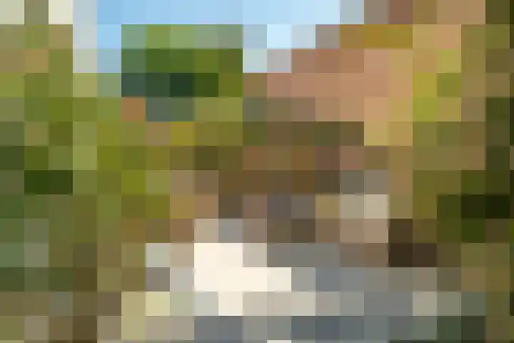 Strandmeer 21 Houten thumbnail 16