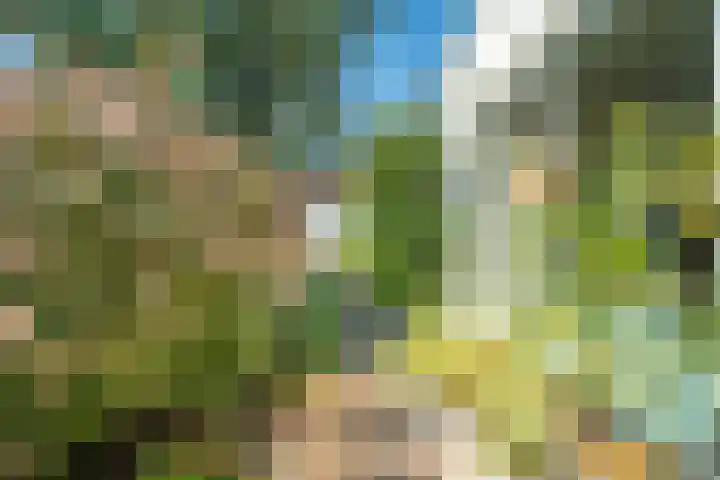 Strandmeer 21 Houten thumbnail 19