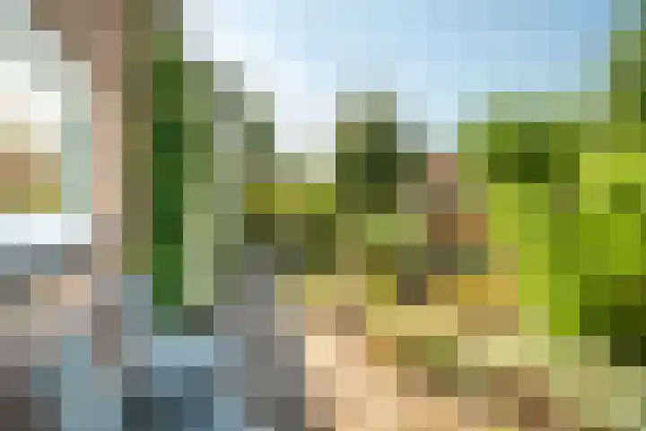 Strandmeer 21 Houten thumbnail 20