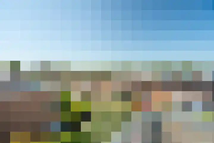Strandmeer 21 Houten thumbnail 39