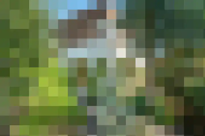 Strandmeer 21 Houten thumbnail 45