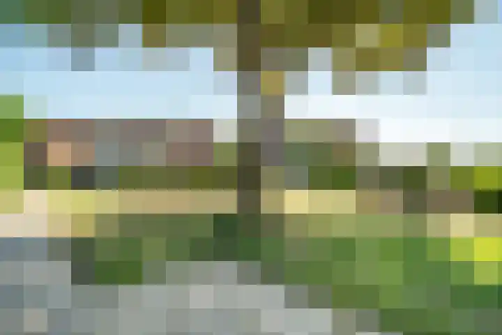 Strandmeer 21 Houten thumbnail 47