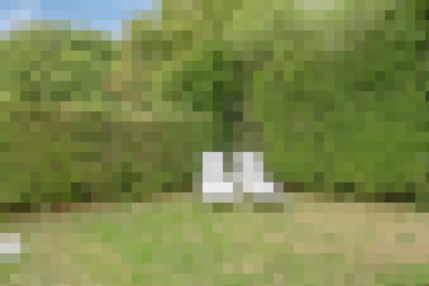 Strandpaal 9 Domburg thumbnail 32