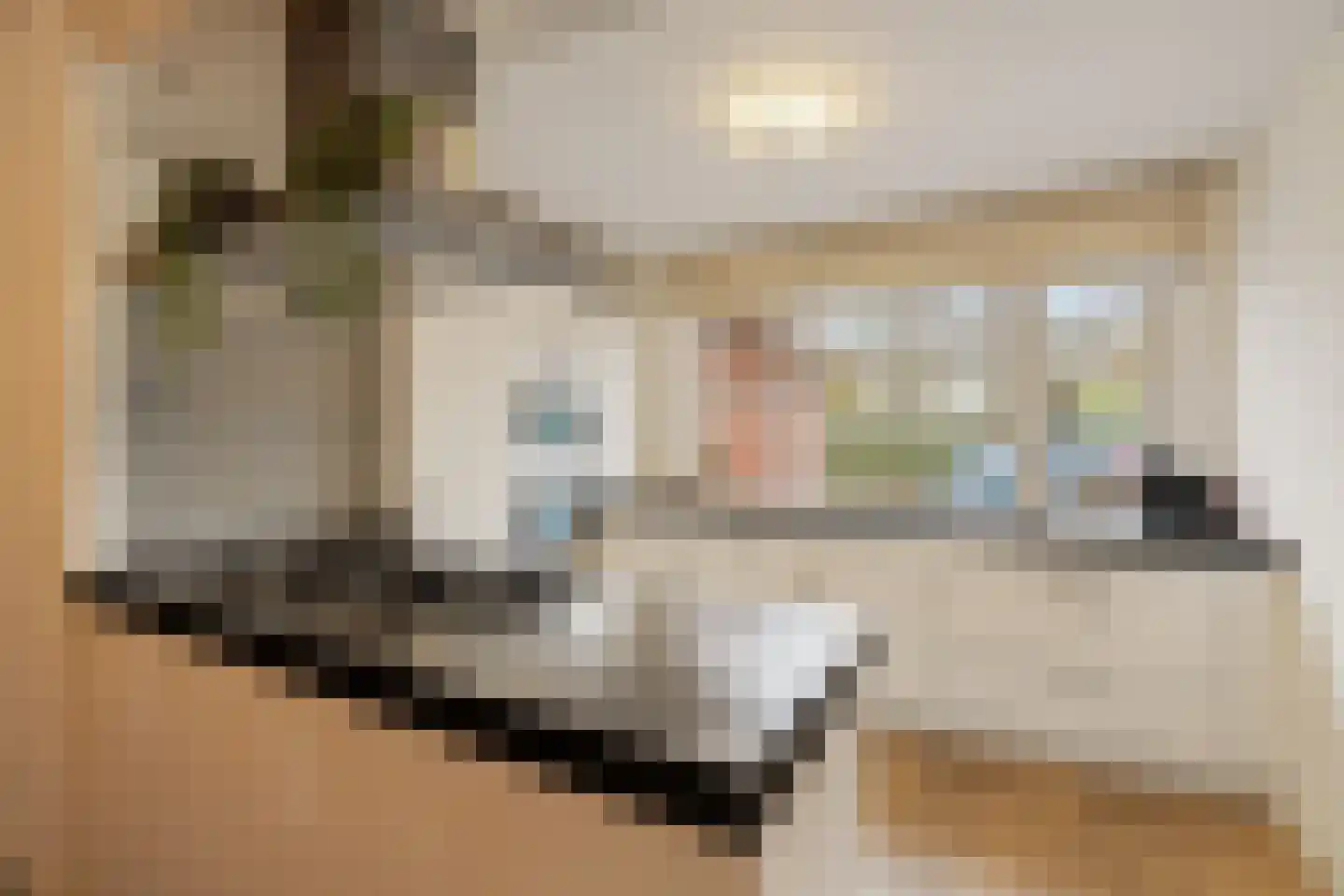Strandplevier 23 Noordwijk thumbnail 10