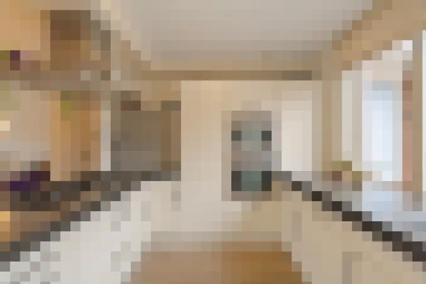 Strandplevier 23 Noordwijk thumbnail 11