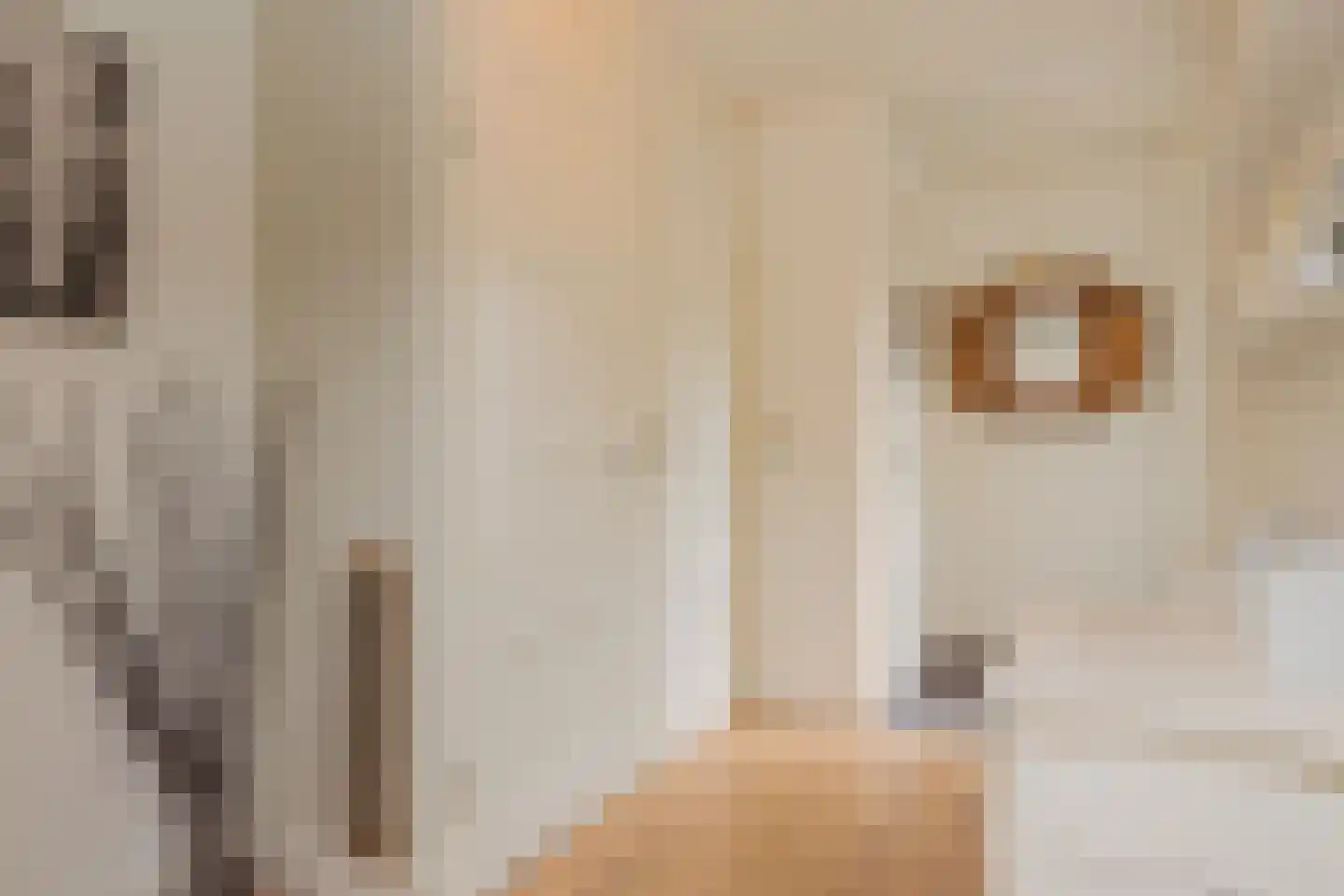 Strandplevier 23 Noordwijk thumbnail 20