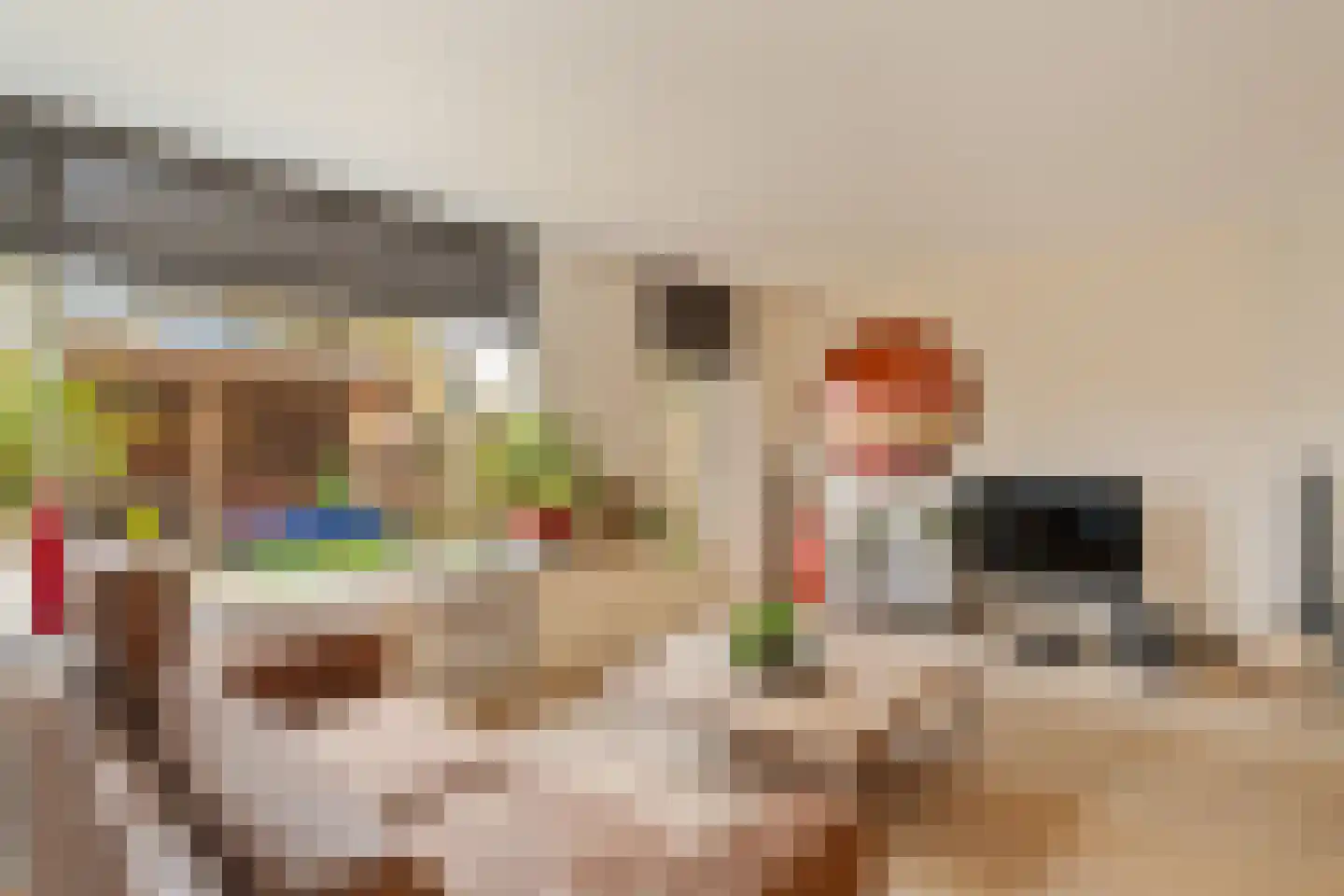 Strandplevier 23 Noordwijk thumbnail 5
