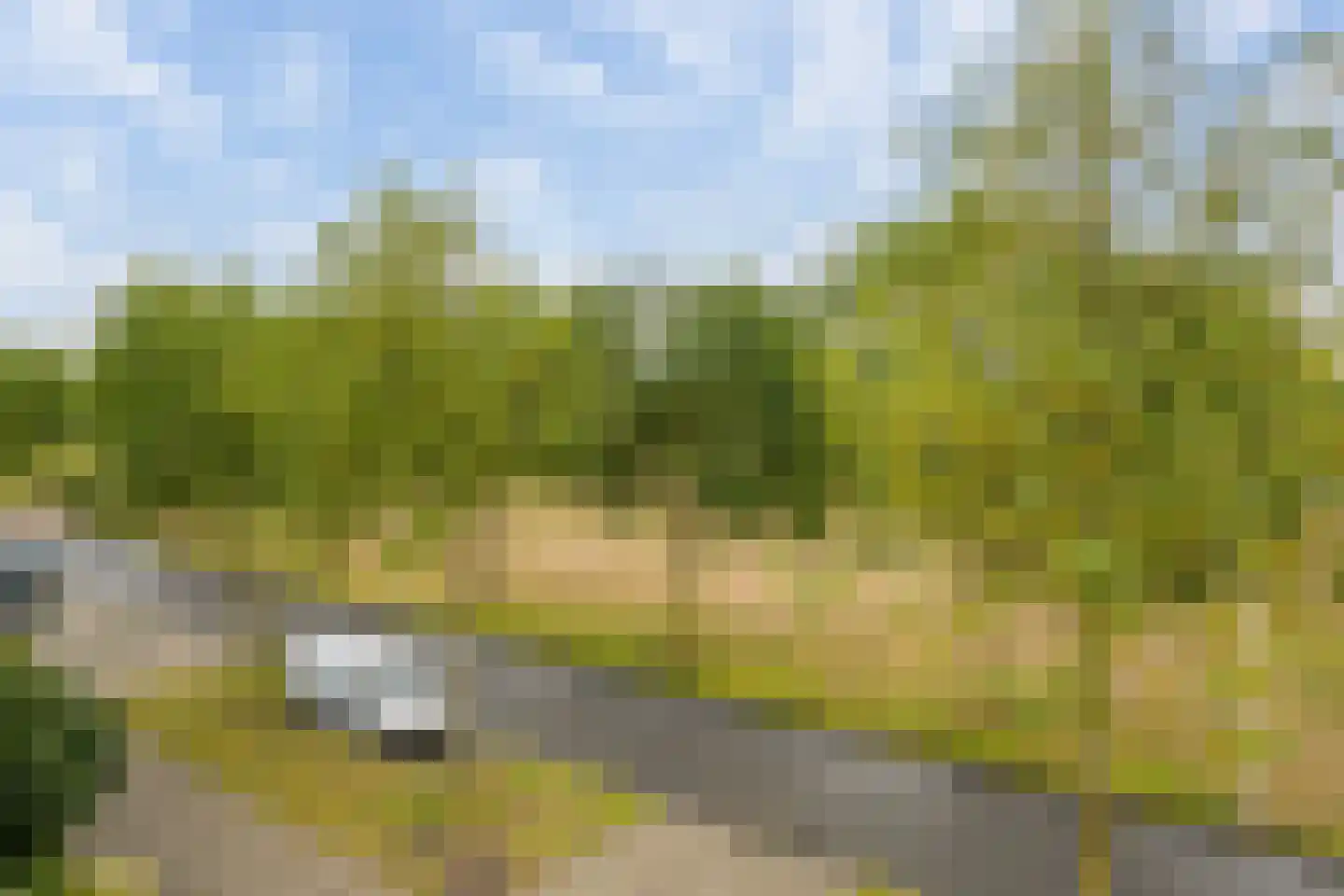 Strandplevier 36 Bergen op Zoom thumbnail 33