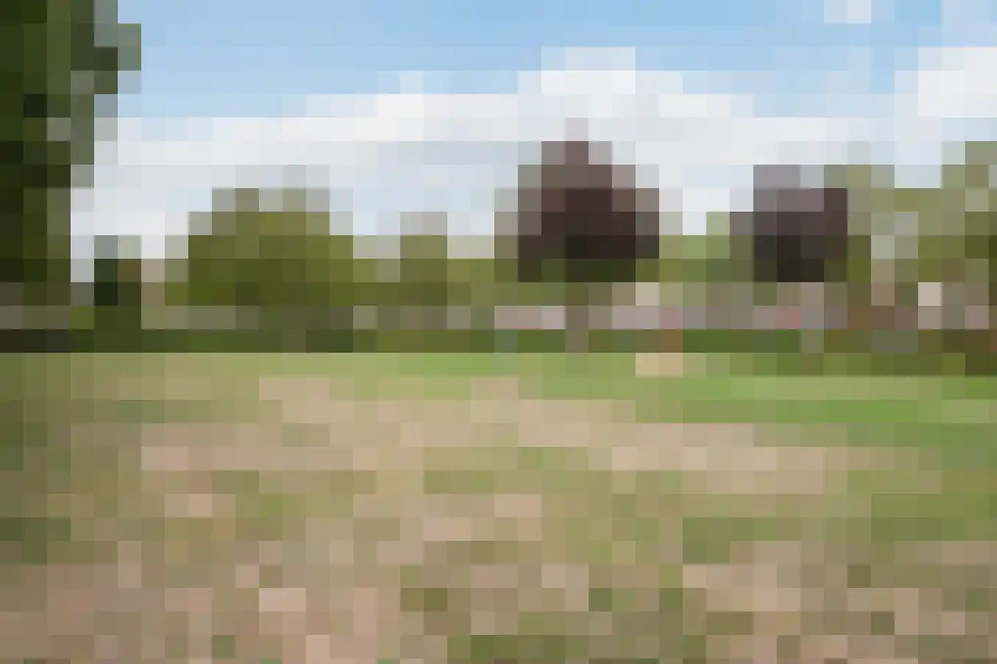 Strandplevier 36 Bergen op Zoom thumbnail 38
