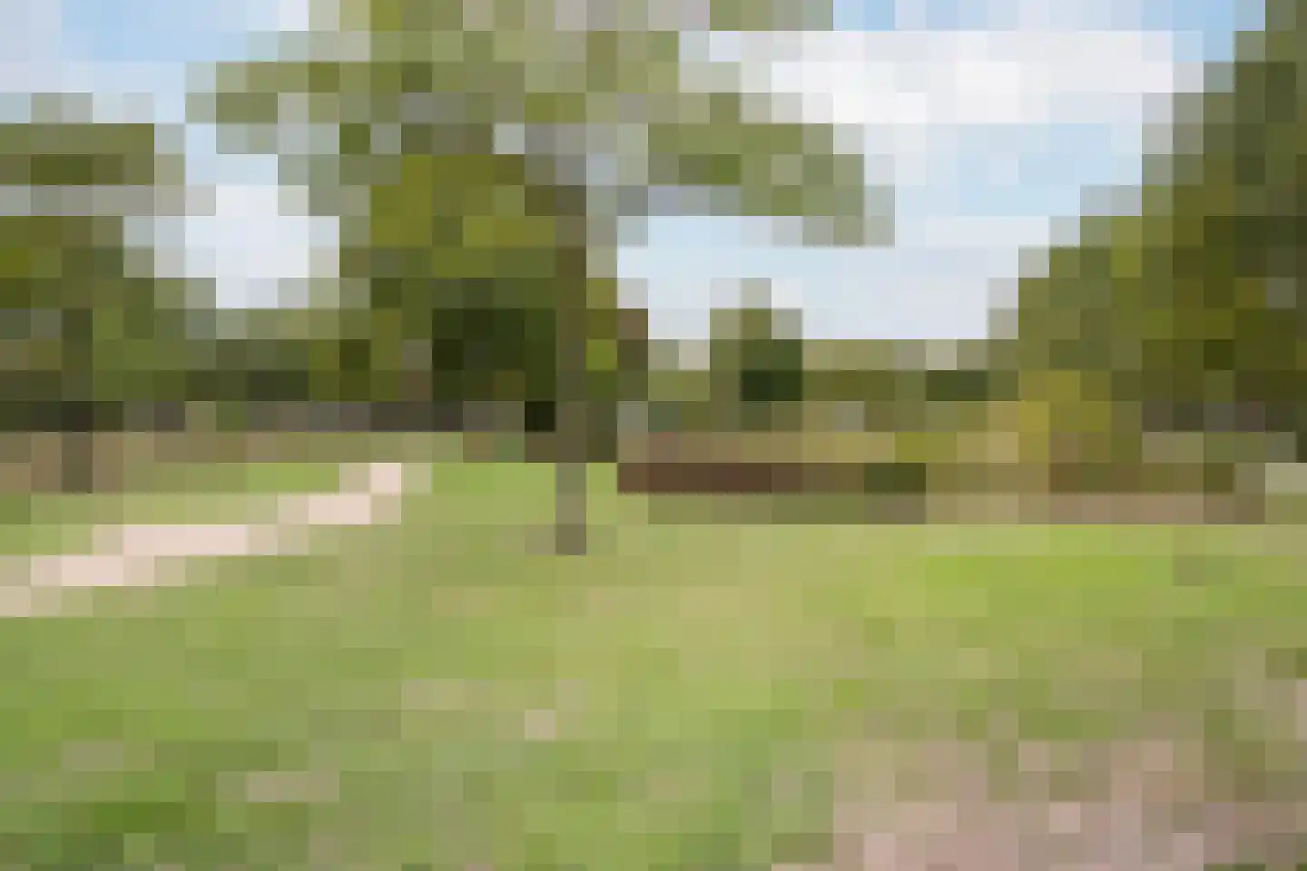 Strandplevier 36 Bergen op Zoom thumbnail 39