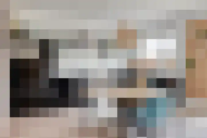 Strandschelp 17 Terneuzen thumbnail 11