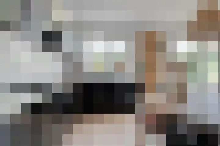 Strandschelp 17 Terneuzen thumbnail 15