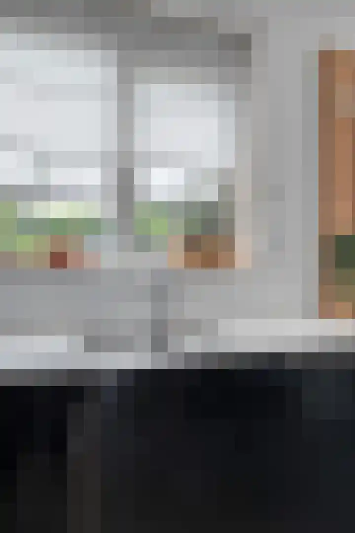 Strandschelp 17 Terneuzen thumbnail 17