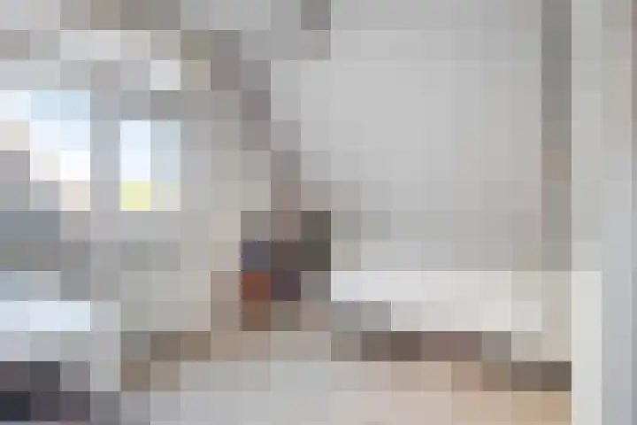 Strandschelp 17 Terneuzen thumbnail 24
