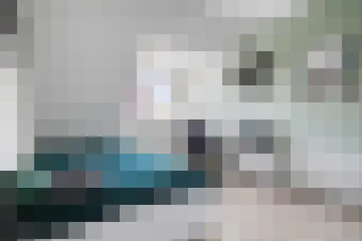 Strandschelp 17 Terneuzen thumbnail 25