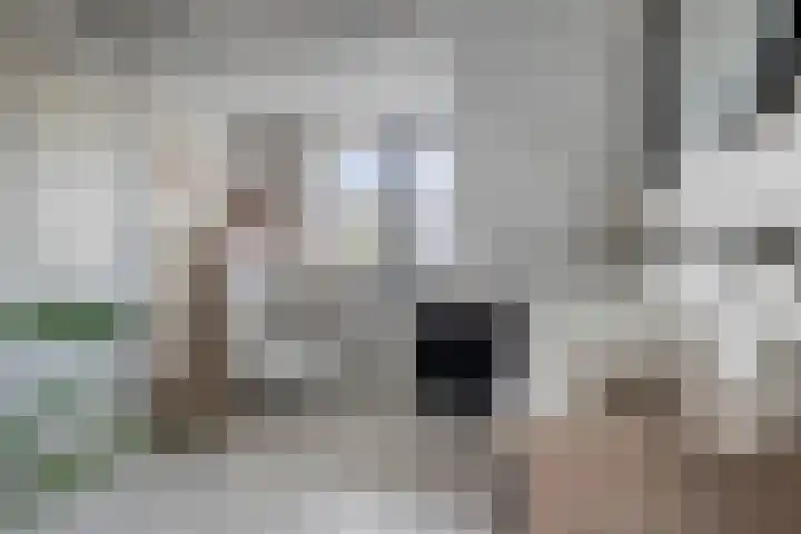 Strandschelp 17 Terneuzen thumbnail 27