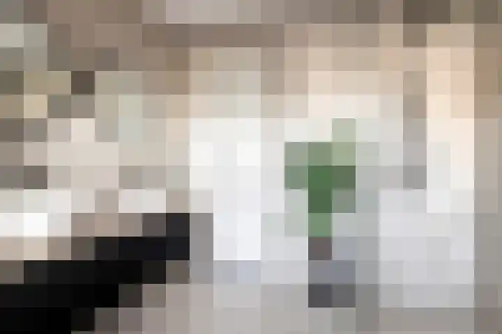 Strandschelp 17 Terneuzen thumbnail 28