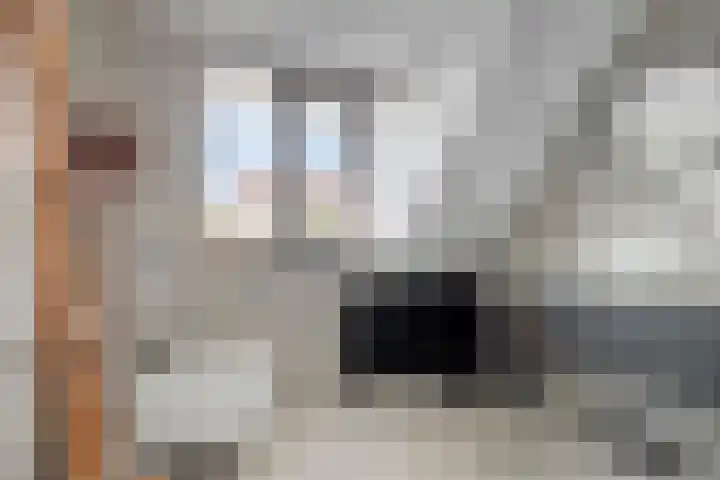 Strandschelp 17 Terneuzen thumbnail 31