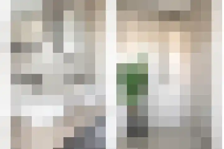 Strandschelp 17 Terneuzen thumbnail 32