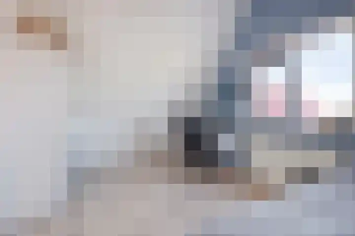 Strandschelp 17 Terneuzen thumbnail 35