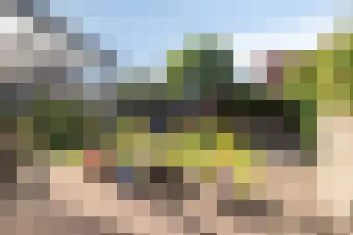 Strandschelp 17 Terneuzen thumbnail 36