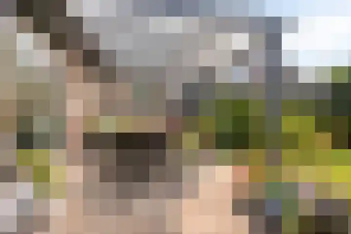 Strandschelp 17 Terneuzen thumbnail 37