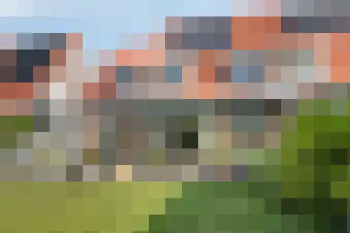 Strandschelp 17 Terneuzen thumbnail 38