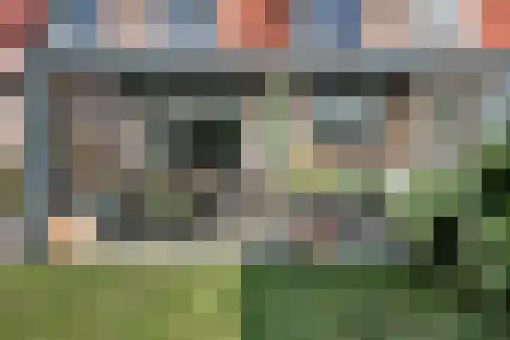 Strandschelp 17 Terneuzen thumbnail 39