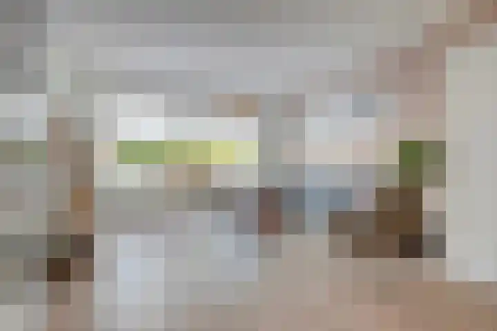 Strandschelp 17 Terneuzen thumbnail 4