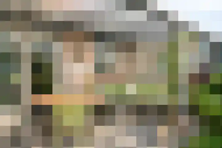 Strandschelp 17 Terneuzen thumbnail 40