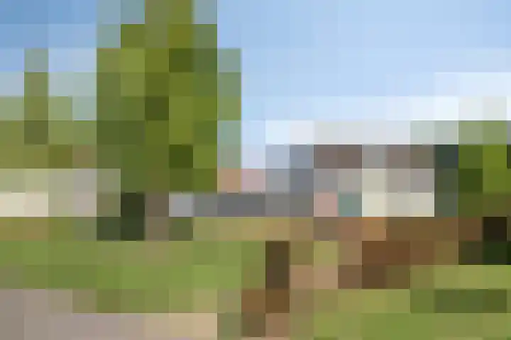 Strandschelp 17 Terneuzen thumbnail 42