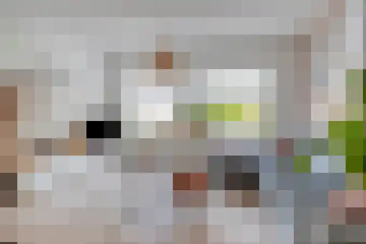 Strandschelp 17 Terneuzen thumbnail 6