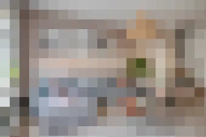 Strandschelp 17 Terneuzen thumbnail 7