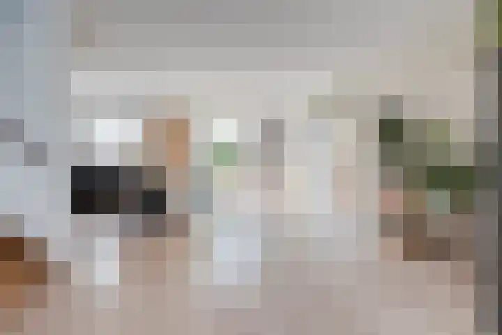 Strandschelp 17 Terneuzen thumbnail 9