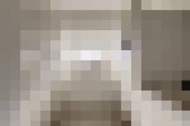 Strandschelpenbank 1 Leiden thumbnail 12